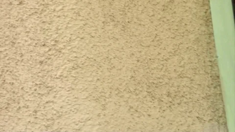 Mofos: Masturbating Next Door
