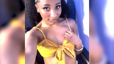 Oopsie!: Captain and the Virgin Stewardess